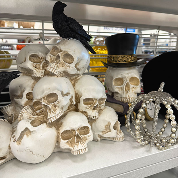 Decorative skulls found in store at Ross.