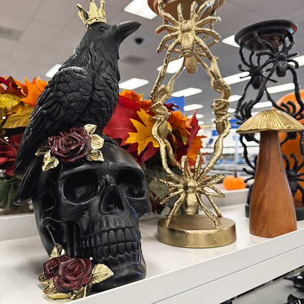 Black ceramic skull with a crow and roses found in store at Ross.