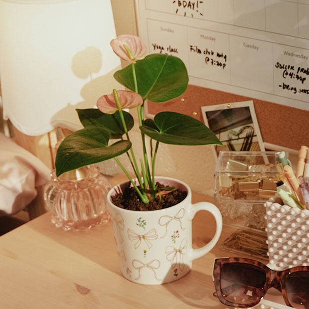 Plant on desk